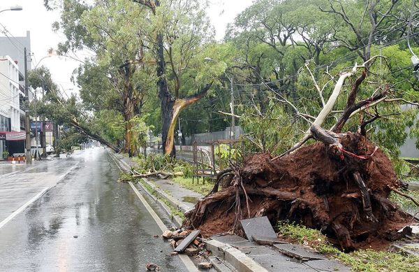 Temporal dejó 1 muerto, echó 160 árboles y varios techos - Nacionales - ABC Color