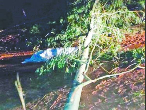 Rayo mató a joven que atajaba techo de chapa