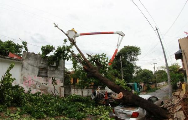 Más de 24 horas sin energía eléctrica: el drama de miles de usuarios