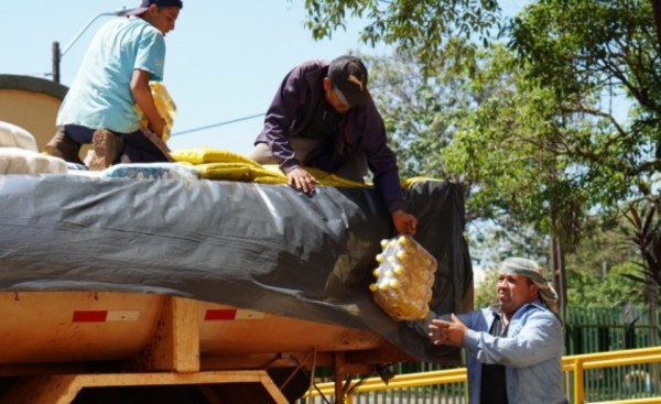 Gobernación ya entregó 85.000 kilos de alimentos a 10 municipios