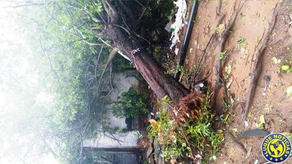 Tormenta: Familia vivió momentos de terror y apela a la solidaridad •