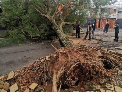 Reportan más de 250 árboles caídos tras tormenta en Asunción · Radio Monumental 1080 AM