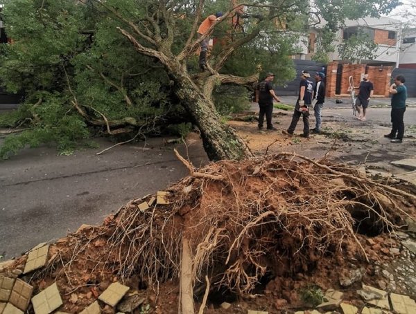 Reportan más de 250 árboles caídos tras tormenta en Asunción · Radio Monumental 1080 AM