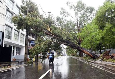 Algunos barrios seguirán sin luz hasta horas de la tarde, admiten desde la ANDE - Nacionales - ABC Color