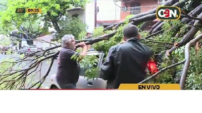 Registran 250 árboles caídos por el temporal en toda la ciudad de Asunción - C9N
