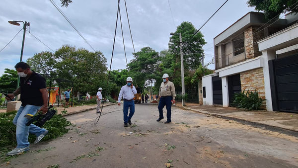 Hasta el mediodía: Más de 10.000 usuarios siguen sin energía eléctrica tras la tormenta del sábado