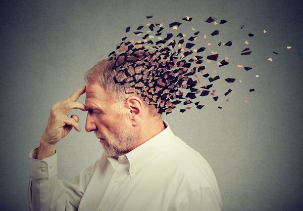 Un desequilibrio de la microbiota está en el origen del alzheimer - Ciencia - ABC Color