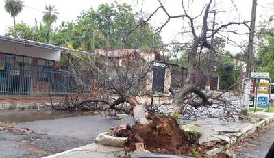 Fenómeno del sábado fue un “ciclón extratropical”, sostiene profesional - Nacionales - ABC Color