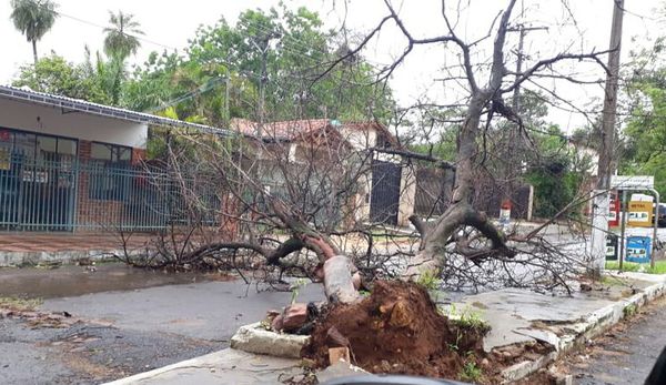 Fenómeno del sábado fue un “ciclón extratropical”, sostiene profesional - Nacionales - ABC Color