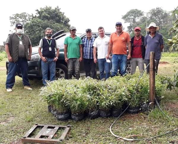 Banco Central incorpora el “vuelo forestal” como garantía para acceder a créditos