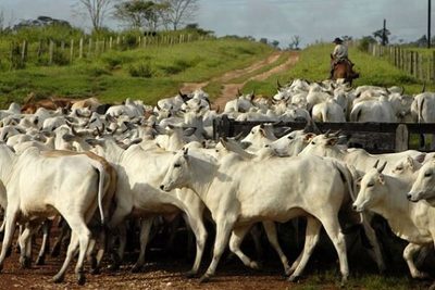 Lanzan sistema online para inversiones sostenibles en el Chaco
