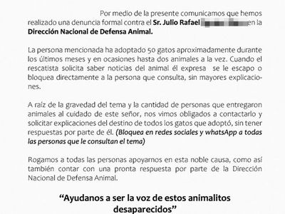 Adoptó 50 gatos y no hay pista de los michis