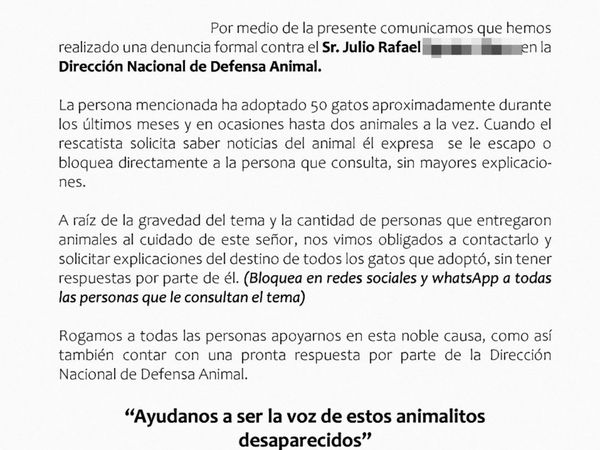 Adoptó 50 gatos y no hay pista de los michis