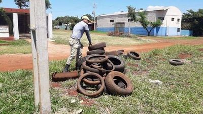 “Eliminación de criaderos es la mejor vacuna contra el dengue” - ABC en el Este - ABC Color