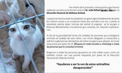 Hombre adoptó 50 gatos, pero no hay pista de los animalitos – Prensa 5