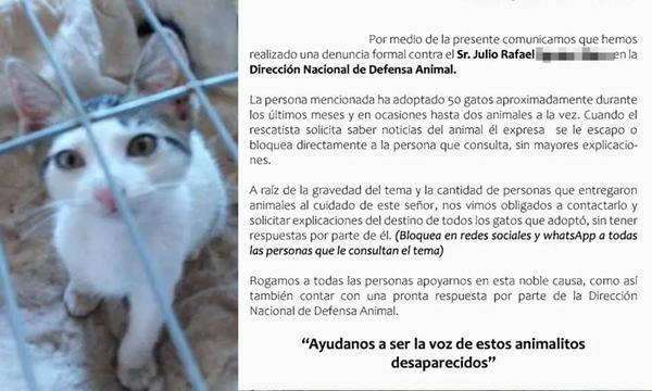 Hombre adoptó 50 gatos, pero no hay pista de los animalitos – Prensa 5