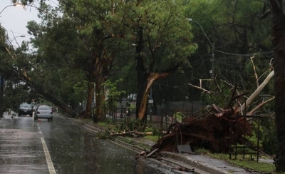 HOY / Meteorólogo explica qué pasó durante la tormenta que ocasionó estragos el sábado