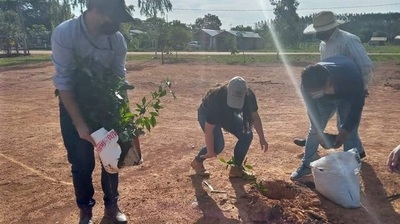 Caazapá: Arborizan el asentamiento Roque Sarubbi - Noticiero Paraguay