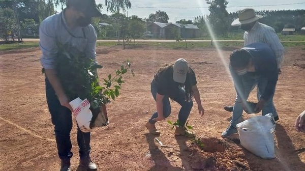 Caazapá: Arborizan el asentamiento Roque Sarubbi - Noticiero Paraguay