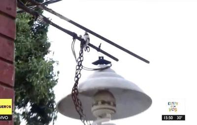 ¡Robos a tutiplen! Inseguridad acapara las calles de Capiatá