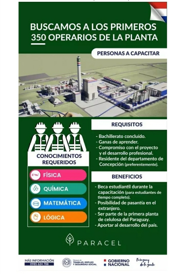 350 vacancias para operarios en una planta de celulosa