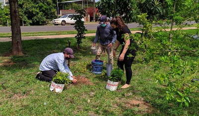 Caazapá: Jornada de siembra y entrega de plantines de especies nativas - Noticiero Paraguay