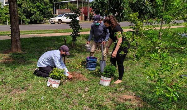 Caazapá: Jornada de siembra y entrega de plantines de especies nativas - Noticiero Paraguay