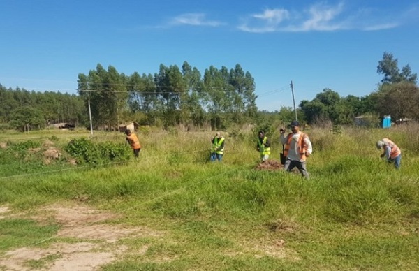 Constructora vial planta 1.000 arbolitos nativos