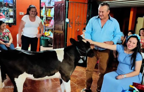 MIENTRAS TANTO EN VILLARRICA: LE REGALARON UNA VAQUITA EN SU BABY SHOWER