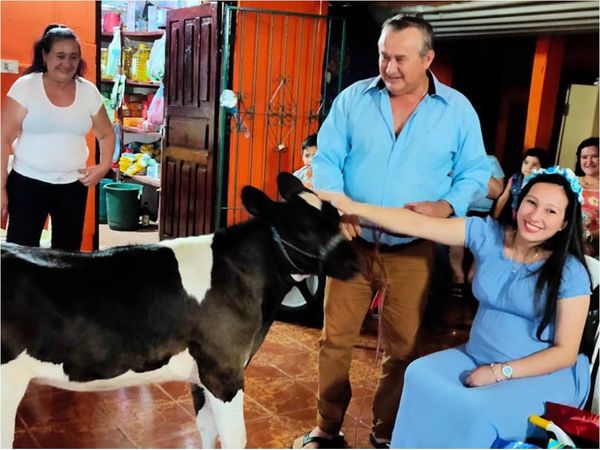 Mientras tanto en Villarrica: Le regalaron una vaquita en su baby shower