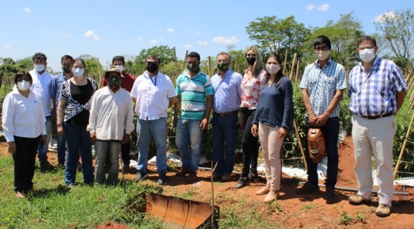 Instituciones acompañan a productores de Caaguazú en la implementación de proyectos agrícolas