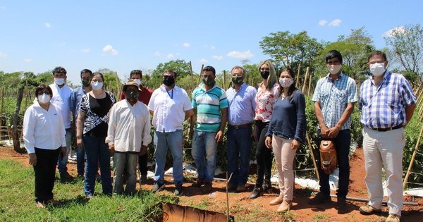 La Nación / Avanza implementación del primer centro regional de comercialización agropecuaria