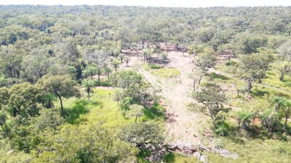 Finalmente emiten primer borrador del Código Ambiental Paraguayo - Nacionales - ABC Color