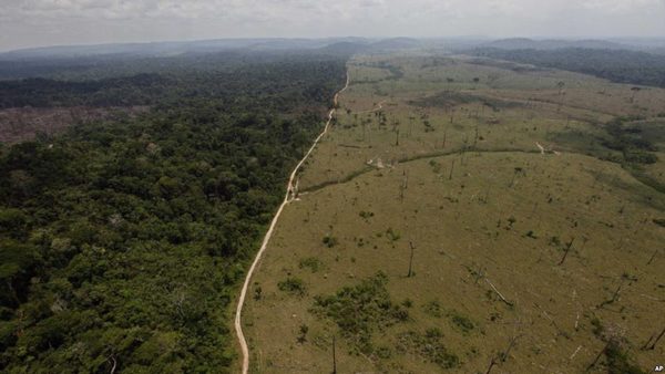 Código Ambiental: Una deuda a saldar en el país