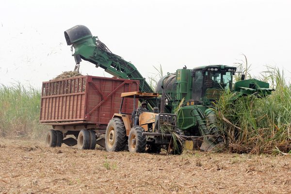 Brasil y Canadá reaccionan ante salvaguardia de Costa Rica al azúcar - MarketData