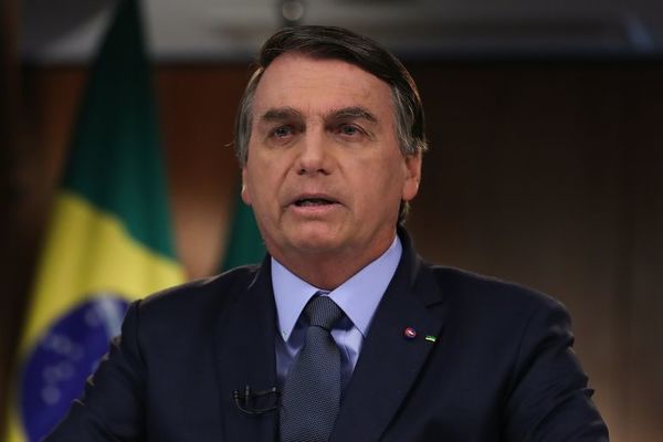 Bolsonaro amenaza con revelar los países que compran madera amazónica ilegal - Mundo - ABC Color