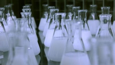Medical Química traerá marcas nuevas para aumentar clientes en el rubro farmacéutico, alimenticio y hospitalario