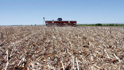 El potencial de transformar campos ganaderos a agrícolas en el Chaco