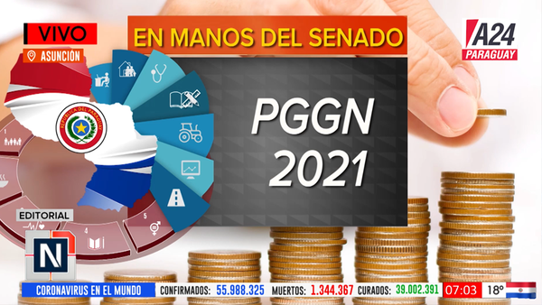En manos del Senado ¡Qué no haya manipulación política del PGGN!