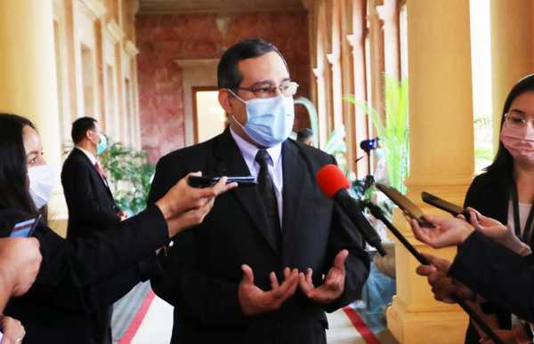 Ministerio avizora escenario alentador en lucha contra el dengue este año | .::Agencia IP::.