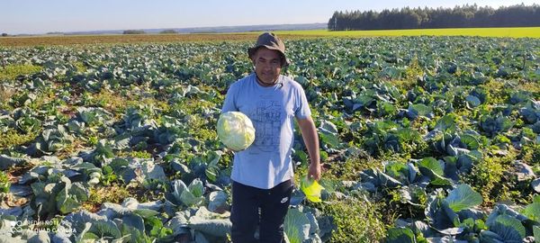 Microseguro agrícola, un aliado para los pequeños productores