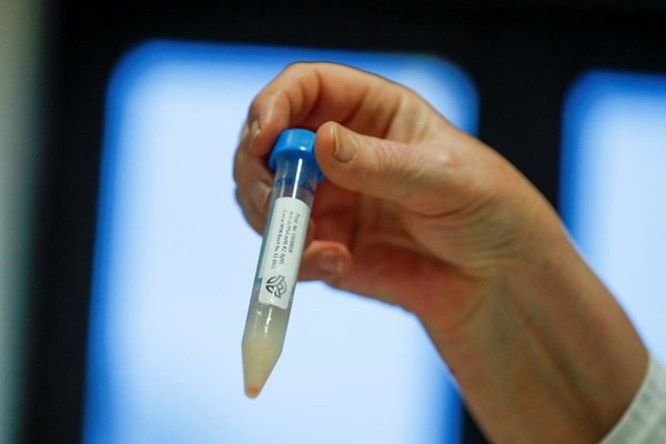 Un nuevo estudio revela que la inmunidad al coronavirus podría durar años » Ñanduti