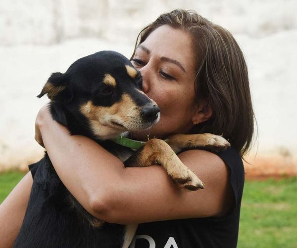 Juez desestima denuncia de Defensa Animal contra animalera: “Voy a accionar contra ellos por haber manoseado mi nombre” » Ñanduti