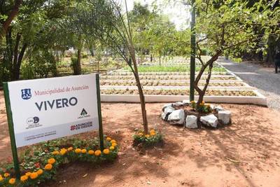 Restos de árboles caídos van a la Costanera para convertirse en abono