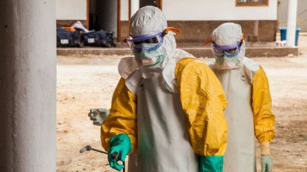 Científicos confirman nuevo virus similar al Ébola con origen en Bolivia | OnLivePy