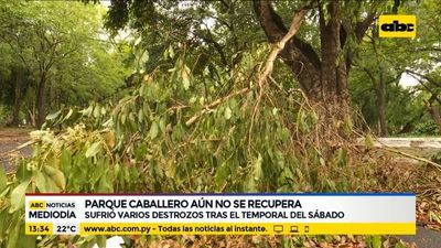 Parque Caballero: 16 árboles de diferentes especies fueron derribados por la tormenta - Nacionales - ABC Color