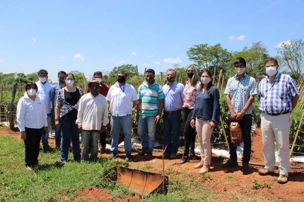 Instituciones apoyan muy de cerca a productores agrícolas de Caaguazú - ADN Paraguayo