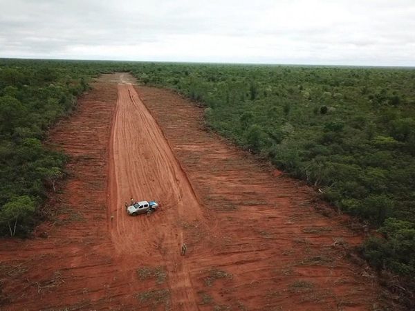 Senad detecta una pista clandestina en Bahía Negra