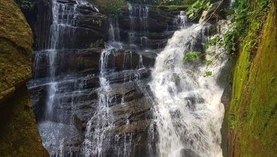 Chacurrú Ecoturismo registra altos niveles de reserva (todos los fines de semana llena sus cupos)