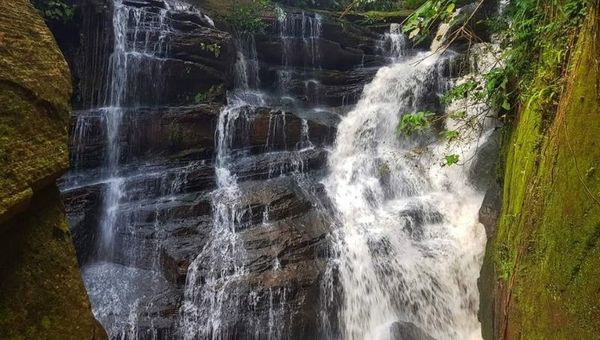 Chacurrú Ecoturismo registra altos niveles de reserva (todos los fines de semana llena sus cupos)